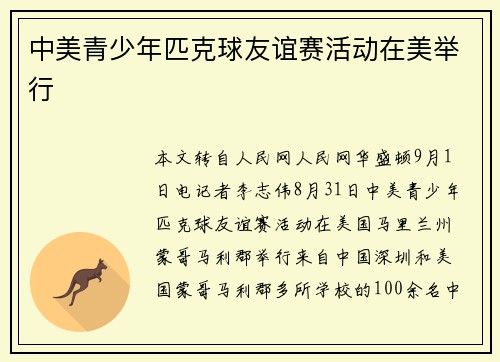 中美青少年匹克球友谊赛活动在美举行